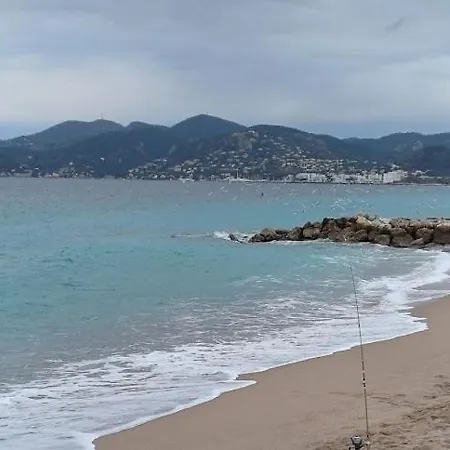 Апартаменты Avec Terrasse, Piscine, Acces Direct