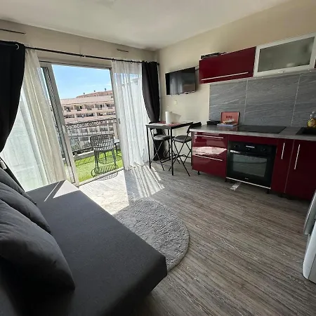 Avec Terrasse, Piscine, Acces Direct קאן